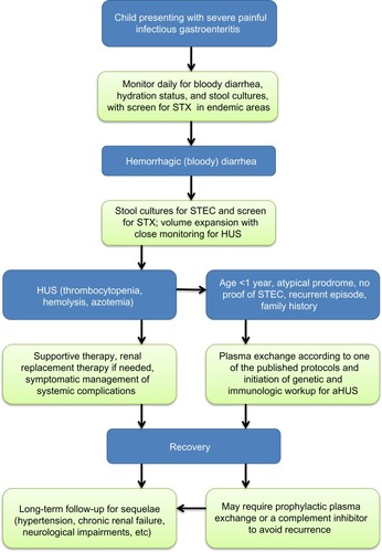 Figure 2 Practical approach to the child at risk for or presenting with HUS.