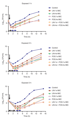 Figure 2 Regrowth curves of MRSA (No.36) strains exposed to linezolid plus fosfomycin for 1, 2, and 3 hours.