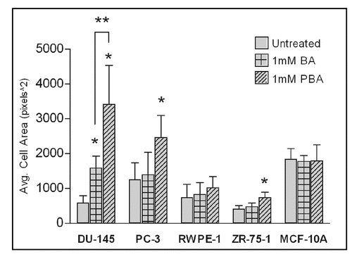 Figure 5 Increased cell spreading induced by BA and PBA is statistically significant. Cell area from images in Figure 4 was quantified using ImageJ software. All images were taken at a 40x objective. Values represent mean ± standard deviation (n = 10).