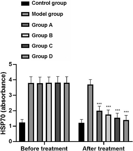 Figure 6. Changes of HSP70. After treatment, HSP70 in model group, group A, group B, group C and group D decreased significantly, of which group D had the largest decrease. Group A, group B, group C and group D were compare with the model group. ***means P < 0.001.