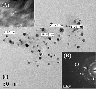 Figure 5. TEM image of the AgNPs distribution inset shows (A) HRTEM image and (B) the SAED patterns of the (111) plane.