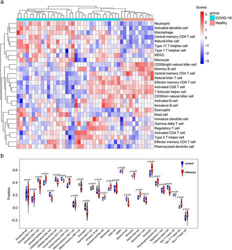 Figure 2 Analysis of immune infiltration associated with COVID-19. (a) Heatmap showing the enrichment score of immune cells between healthy donors and COVID-19 patients from dataset GSE213313. The specific enrichment scores of 28 immune cell types were calculated by ssGSEA based on specific gene marker. (b) Immune cells abundance in healthy donors and COVID-19 patients. The blue indicates samples of healthy donors, and the red indicates the samples of COVID-19 patients. The p-values were obtained using Wilcoxon test.