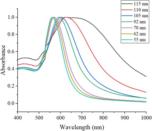 Figure 3. UV-vis spectra of seven AuNCs with different size.