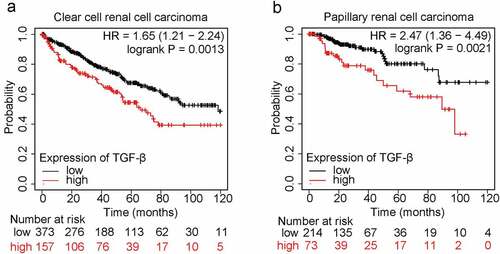Figure 1. Expression of TGF-β1 is negatively correlated to patients’ survival in renal cell carcinoma.