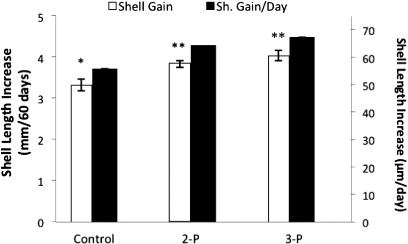 Figure 1 Mean increase (± SEM) in total shell length and daily shell length within control and treatments in the feeding trial. The 2-P and 3-P treatments indicate feed with two and three probiotic bacteria, respectively. Asterisks (*) indicate a significant difference (P < 0.05).