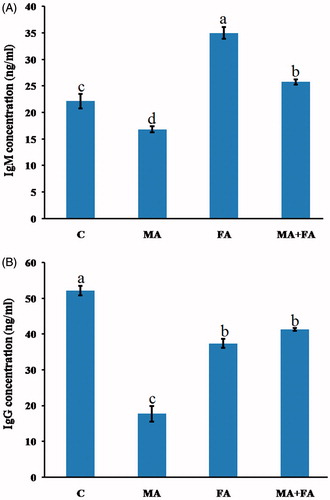 Figure 1. Effect of treatments on serum immunoglobulin levels. (A) IgM. (B) IgG. The values shown are the means ± SE (n = 5). Bars with different letters significantly differ from one another (p < 0.05).