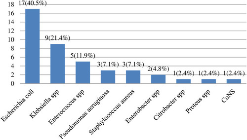 Figure 1 Bacterial profiles among CAUTI patients at Arba-Minch General Hospital, South Ethiopia (proportion of bacterial isolates).