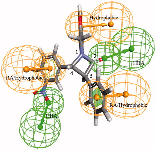 Figure 11. Pharmacophore feature analysis of compound 4l.