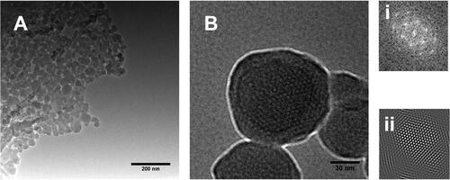 Figure 2. TEM images of (a-b) MSNPs showing the porous structure and (b) (i & ii) are representing FFT and IFFT patterns respectively.