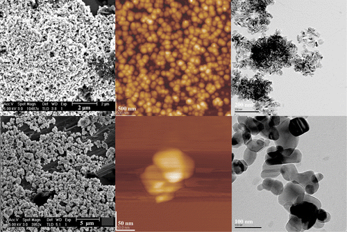 Figure 1. ZnO (1st row) and TiO2 (2nd row) nanoparticles suspended in distilled water, allowed to dry and imaged in order from left to right by SEM, AFM and TEM. Initial sizes as stated by the manufacturer (Sigma-Aldrich UK): 50–70 nm for ZnO particles and 5–10 nm for TiO2 particles.