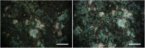 Figure 4. Area 1 test c. Left: before laser cleaning; right: after laser cleaning (bar = 1 mm).