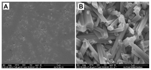 Figure 2 Scanning electron microscopy surface microstructure of polished and as-fired Si3N4: (A) polished surface 20,000×; (B) as-fired surface 20,000×.