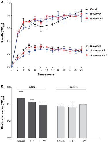 Figure S1 Growth curves (A) and biofilm formation (B) of Escherichia coli and Staphylococcus aureus exposed to fluorine (100 μg/mL) and yttrium ions (100 μg/mL) for 24 hours at 37°C.Notes: Untreated bacteria served as a control. Error bars represent the standard deviation of three independent experiments conducted in triplicate.Abbreviation: OD595, optical density at 595 nm.