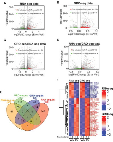 Figure 1. Identification of lncRNAs transcriptionally induced/repressed by oestrogen signalling in ER+ breast cancer cells.