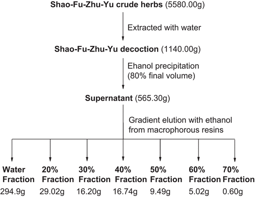 Figure 1.  Sample preparation of Shao Fu Zhu Yu decoction (SFD) and its fractions.