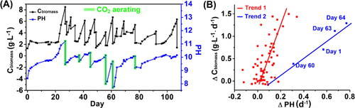 Figure 4. Variations of Cbiomass and pH during cultivation. (A) Comparison between the Cbiomass and pH variations during cultivation; (B) Change rate of Cbiomass (g·L−1·d−1) vs. that of pH (d−1).