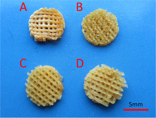 Figure 4. 3D printed nanocomposite scaffolds. (a) NP/SF, (b) NP/SF–Gel, (c) NP/Gel-1, (d) NP/Gel-2.
