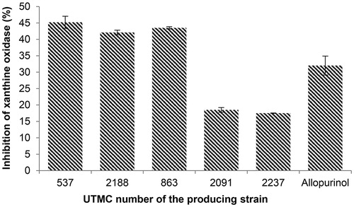 Figure 4. Xanthine oxidase inhibitory activity of selected extracts at the concentration of 12.25 μg/mL and allopurinol at the same concentration. Data are mean ± SD of three experiments.