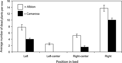 Figure 2. The effect of position in a bed on mortality caused by Fusarium wilt in two strawberry cultivars. Values represent means of four replications and error bars correspond to 2× the standard error of the mean.