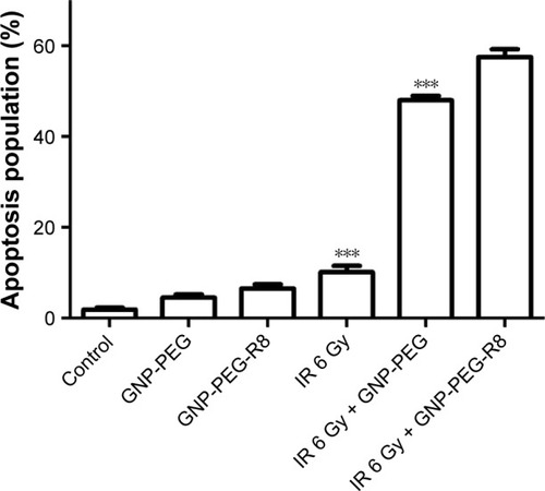 Figure 9 Flow cytometry analysis of apoptosis in LS180 cells. Data were quantified and the results are presented as the mean±SD. Compared with the IR 6 Gy + GNP-PEG-R8 group, ***p<0.001.Abbreviations: IR, irradiation; GNP, gold nanoparticle; PEG, poly(ethylene glycol); R8, octaarginine.