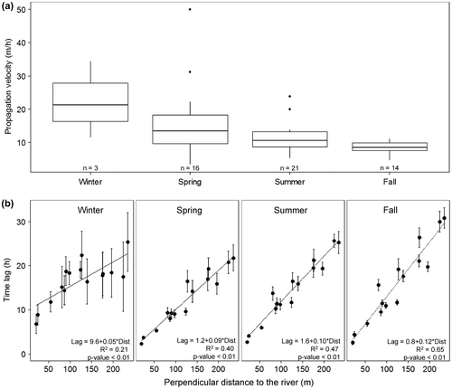 Figure 7. (a) Propagation velocity measured for the 54 selected flood events according to their season of occurrence. (b) Mean time lag for the 54 flood events at which the maximum correlation occurs between river stage and groundwater levels, in relation to the perpendicular distance from the river banks to where the groundwater was measured according to the season of occurrence.