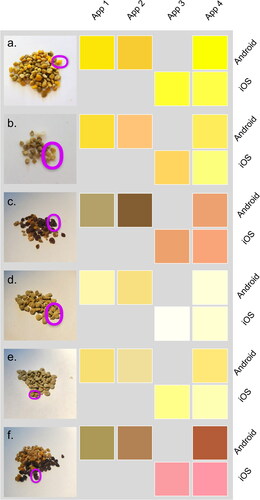 Figure 5. A comparison of RGB colour projections for six pollen pellet groups produced by Android and iOS operating systems (rows) for four apps (columns). Photos of pollen pellets collected from beehives have the measured pollen pellet circled in pink for visual comparison to smartphone detected RGB projections. Pellet group lab code 14 (a), 25 (b), 46 (c), 53 (d), 54 (e) and 60 (f). App names can be found in the methods section and pollen analysis details can be seen in Table 1.