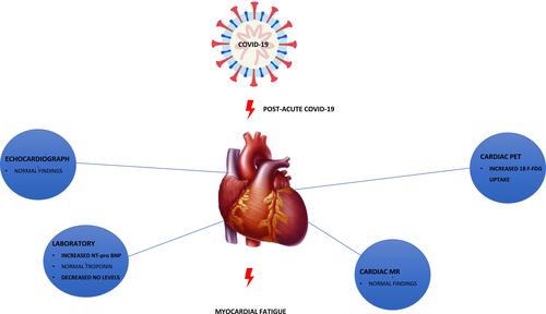Figure 2 Effect of biochemical and imaging tests on possible cardiac involvement of post-acute COVID-19.