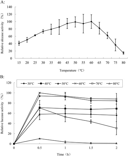 Figure 3. Temperature optimum (A) and thermostability (B) of laccase from Trametes sp. MA-X01.