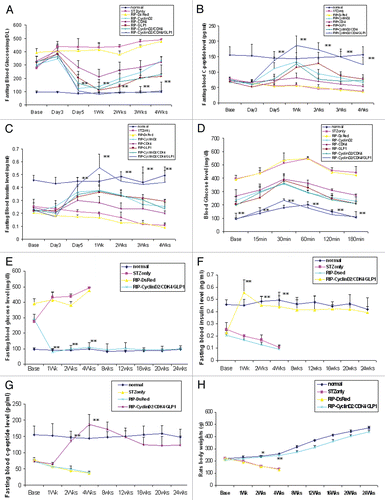 Figure 2 (A) Plot of fasting blood glucose level; (B) Plot of fasting blood c-peptide level; (C) plot of fasting blood insulin level; (D) glucose tolerance test curve; (E) plot of fasting blood glucose level of time-course experiment; (F) plot of fasting blood insulin level of time-course experiment; (G) plot of fasting blood c-peptide level of time-course experiment; H: rats body weight changes during time-course experiment; *p < 0.05; **p < 0.001 vs. STZ control; n = 6 animals, Error bars represent mean ± SEM, N values are numbers of pancreas analyzed for each group. The glucose tolerance test was performed at 4 weeks after UTMD.