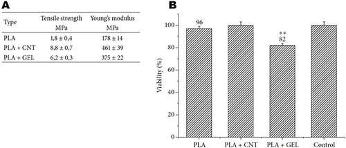 Figure 4 The effect of the incorporation of CNT in PLA nanofibers on the mechanical properties (A) and cell viability (B), compared with pure PLA and PLA with gelatin (GEL). Adapted from Markowski J, Magiera A, Lesiak M, Sieron AL, Pilch J, Blazewicz S. Preparation and characterization of nanofibrous polymer scaffolds for cartilage tissue engineering. J Nanomater. 2015;2015:1–9. Creative Commons.Citation235 **Statistical difference P < 0.01 when compared to control.