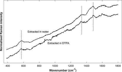 Figure 8. Spatially offset normalised Raman spectra. Example spectra of sample extracted in water (top) and DTPA (bottom). The site of analysis is a contaminated ray and a cell wall respectively. Signature bands of iron-tannin (580, 1328, and 1482 cm−1) are marked. As previously described, the band at 1573 cm−1 is often obscured by the presence of lignin, as can be seen in the top spectrum.
