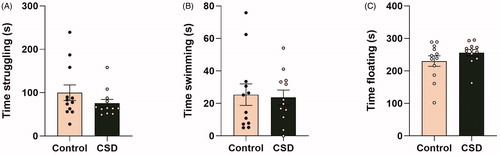 Figure 6. Chronic social defeat does not affect coping strategy selection in female C57Bl/6n mice. Chronic social defeat exposure does not significantly affect (A) time swimming, (B) time struggling or (C) floating behavior in the forced swim task (FST). CSD: chronic social defeat; data represent mean ± SEM.