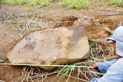 Figure 13. One of the plain stelae from San Isidro at the time of its accidental discovery by a plow in 2018.