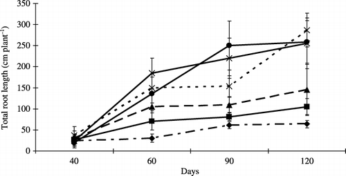 Figure 2  Total root length of inoculated plants. Bars represent standard deviations of the means of three replicates. Differences among the levels of peat addition were determined using an anova (P = 0.58, 0.04, 0.036 and 0.16 at 40, 60, 90 and 120 days, respectively). Peat addition rate: 0% (–⧫–), 2.5% (–▪–), 5% (–▴–), 10% (--×--), 15% (–×–) and 20% (–•–) (w/w).