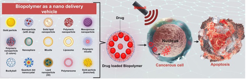 Figure 2 Biopolymers as a potent drug delivery vehicle (Created with BioRender.com).
