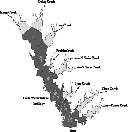 Figure 2 Cedar Creek Reservoir segmentation for the WASP model.