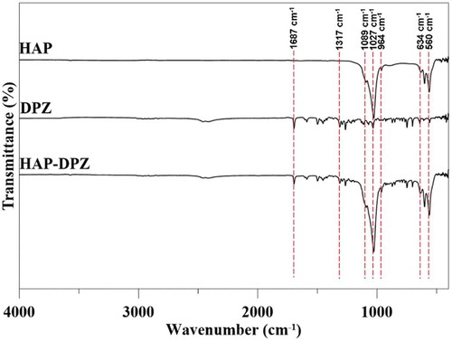 Figure 4. FTIR spectra of HAP, DPZ, and HAP-DPZ. The identification of absorption bands matched to the HAP and DPZ