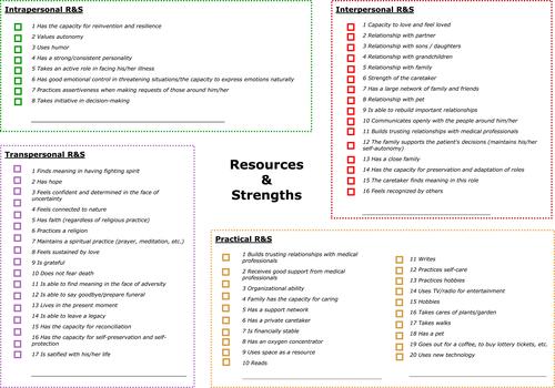 Figure 2 HexCom form (later page): analysis of resources and strengths.Notes: Collects information about Resources and Strengths observed in the home and that help sustain the actual situation. It is indicated if resource determination is detected.Abbreviation: R&S, resources and strengths.
