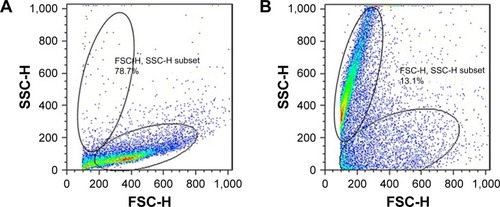 Figure 7 The study of NGOs internalization into the cytoplasm of lymphocyte cells by flow cytometric light scatter.Notes: Lymphocyte cells with 0 µg/mL of NGOs (A) and with IC50 concentration of NGOs under dark conditions for 24 hours (B). The fluorescent intensity of both SSC and FSC was analyzed by flow cytometry.Abbreviations: NGO, nano graphene oxide; SSC, side-scattered light; FSC, forward-scattered light.