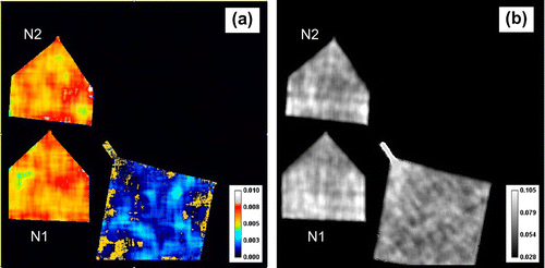 Figure 11. The maps of (2 0 0) Bragg edge parameters obtained by fitting Equation (3) to the measured data. (a) The width parameter σ (Å) calculated with 1.65 × 1.65 mm (30 × 30 pixels) running average over the area where spectra are obtained. (b) The height of the edge C2 calculated with 0.55 × 0.55 mm (10 × 10 pixels) running average of the spectra.