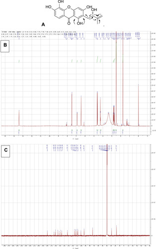 Figure 2 (A) The key HMBC of 1. NMR spectra of 1. (B) 13C NMR spectrum. (C) 13C NMR spectrum.