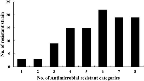Figure 1. Multidrug resistant levels of E. coli isolates from CBM.