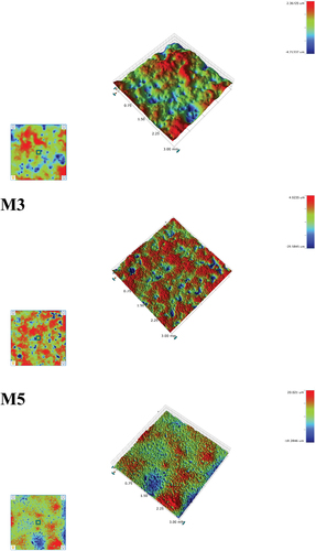 Figure 9. Surface image of the glaze samples heat treated at 1230°C.