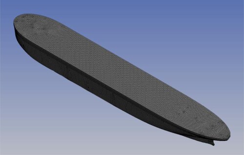 Figure 2. Dyne Tanker in ANSYS AQWA. (This figure is available in colour online.)