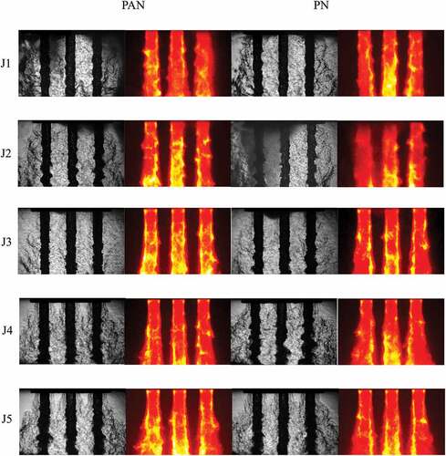 Figure 9. Instantaneous images of the multi-element shadowgraph and OH* emissions under strong PAN (left columns) and strong PN (right columns) forcing.