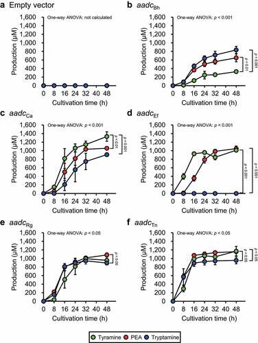 Figure 3. Aromatic amine concentration in the culture supernatants of E. coli harboring aadc or aadc candidate gene of PEA-producing gut bacteria. E. coli transformants were grown in M9AAA-medium and the aromatic amine concentrations in the culture supernatants were measured: (a) YS297 (empty vector), (b) YS389 (expressing aadcBh), (c) YS300 (expressing aadcCa), (d) YS317 (expressing aadcEf), (e) YS298 (expressing aadcRg), and (f) YS299 (expressing aadcTn). Green, red, and blue circles indicate tyramine, PEA, and tryptamine concentrations in the culture supernatants, respectively. Data represent the mean ± SD of three individual experiments. The statistical significance of the PEA, tyramine, and tryptamine production at 48 h was determined using the one-way ANOVA post-hoc Tukey-Kramer test, and the p-values for the Tukey-Kramer test are shown. See also Supplementary Table S4.