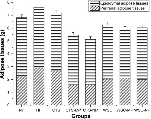 Figure 4 Effects of chitosan and water-soluble chitosan micro- and nanoparticles on adipose tissues in rats (n = 10).Abbreviations: CTS, chitosan; CTS-MP, chitosan microparticles; CTS-NP, chitosan nanoparticles; HF, high-fat diet; NF, normal fat diet; WSC, water-soluble chitosan; WSC-MP, water-soluble chitosan microparticles; WSC-NP, water-soluble chitosan nanoparticles.