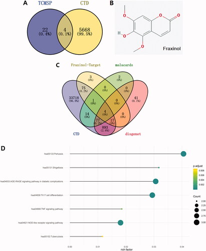 Figure 1. Network pharmacology analysis of Chinese medicine to pneumonia. (A) The effective chemical components corresponding to inflammation lung disease are predicted through TCMSP and CTD database. (B) The structure of fraxinol. (C) The target proteins corresponding to pneumonia and fraxinol are predicted by CTD, malacards, disgenet, and Swiss Target Prediction databases, respectively. (D) The related signalling pathways were predicted through overlapping analysis of the pneumonia signalling and target proteins.