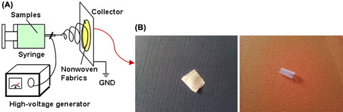 Figure 1. Nanofibrous scaffold designed by electrospinning method. A) Electrospinning set, B) Nanofibrous film and C) Collagen-coated nanofibrous film.