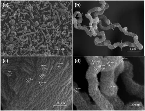 Figure 2. FE-SEM images of CuS nanostructures synthesised at 150°C for a reaction time of 5 h at different magnifications.